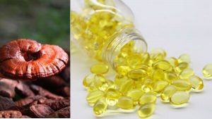 Reishi Spore Oil