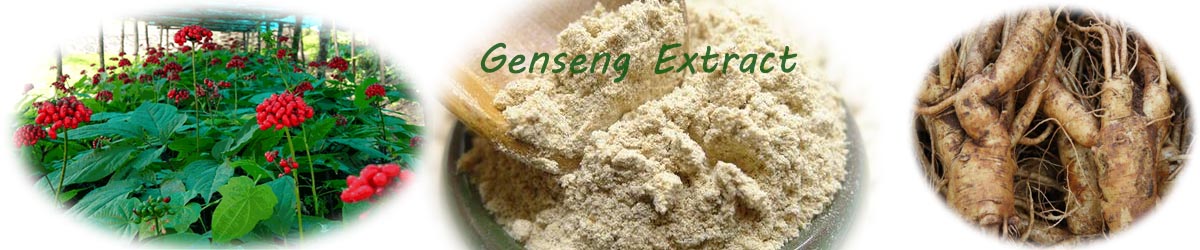 ginseng extracts