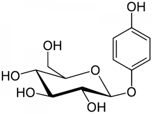 arbutin structure