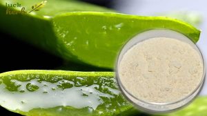 Aloe Vesa Powder