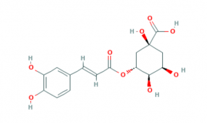 chlorogenic acid structure