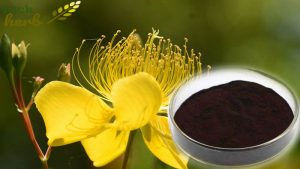 luckherb hypericin powder