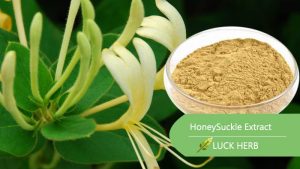LuckHerb Chlorogenic acid Powder