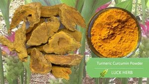 luckherb curcumin powder