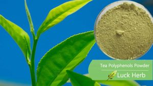 luckherb green tea Polyphenols