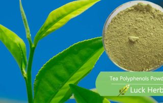 luckherb green tea Polyphenols