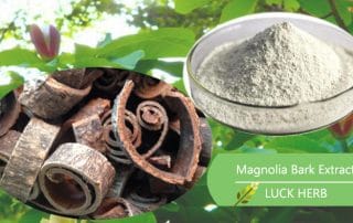 luckherb magnolia bark extract