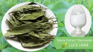 luckherb stevia extract