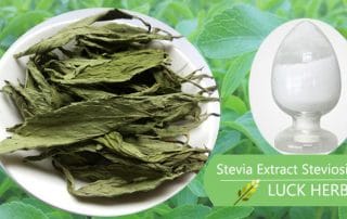 luckherb stevia extract