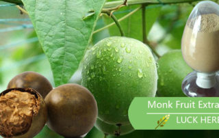 luckherb monk fruit sweetener