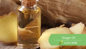 ginger essential oil