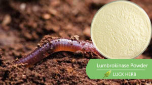 luckherb lumbrokinase powder