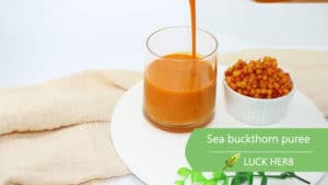 luckherb sea buckthorn puree
