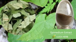 Epimedium extract icariin Luckherb powder