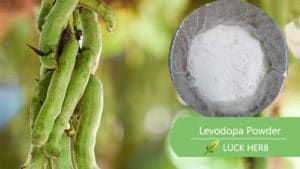 LUCKHERB levodopa extract