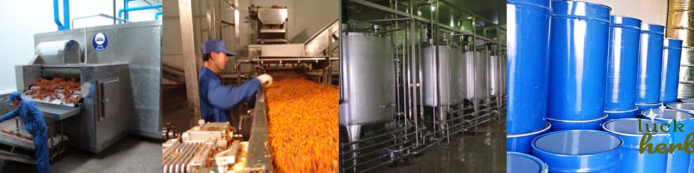 sea buckthorn processing