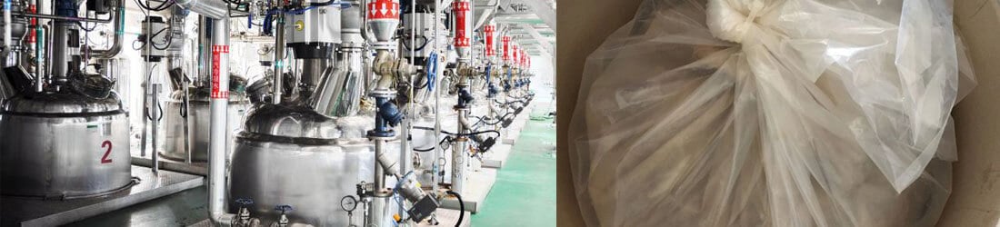 Ginkgo extract factory
