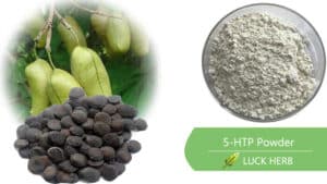 5 htp powder