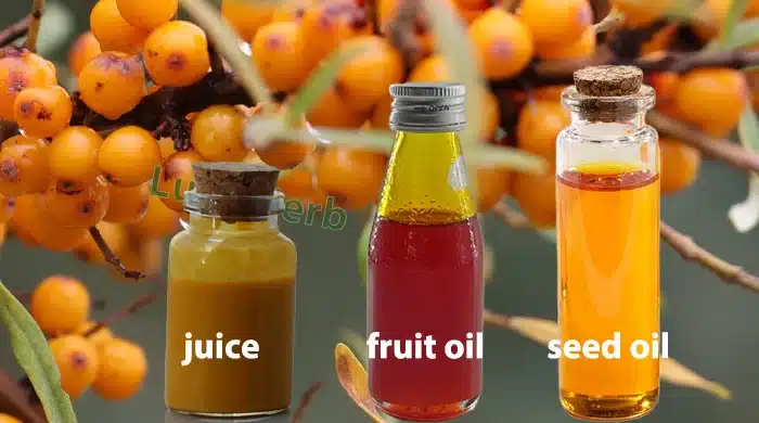 sea buckthorn product